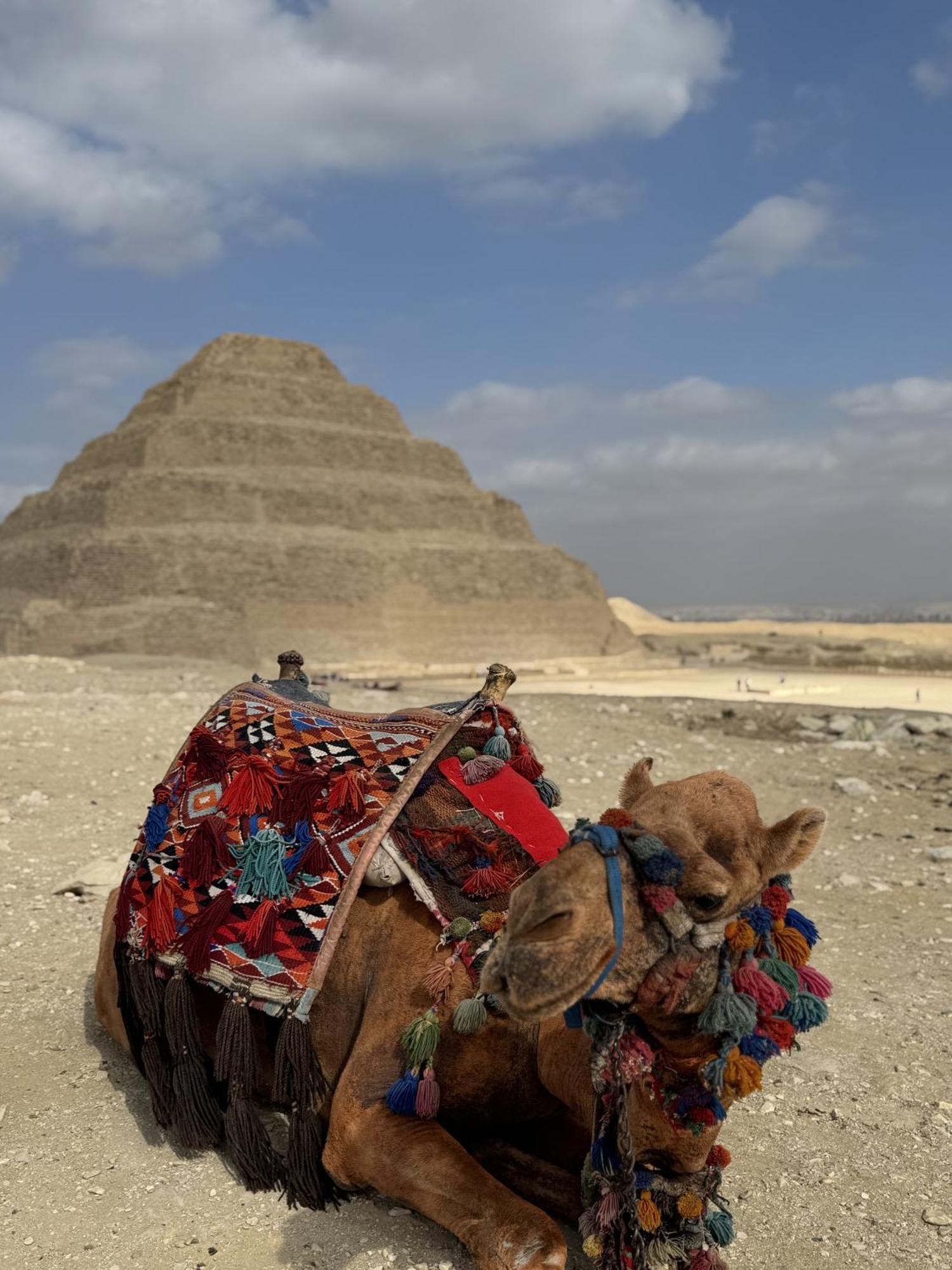 K Boutique Hotel Medspa-Pyramids & Grand Egyptian Museum Ghatati ภายนอก รูปภาพ